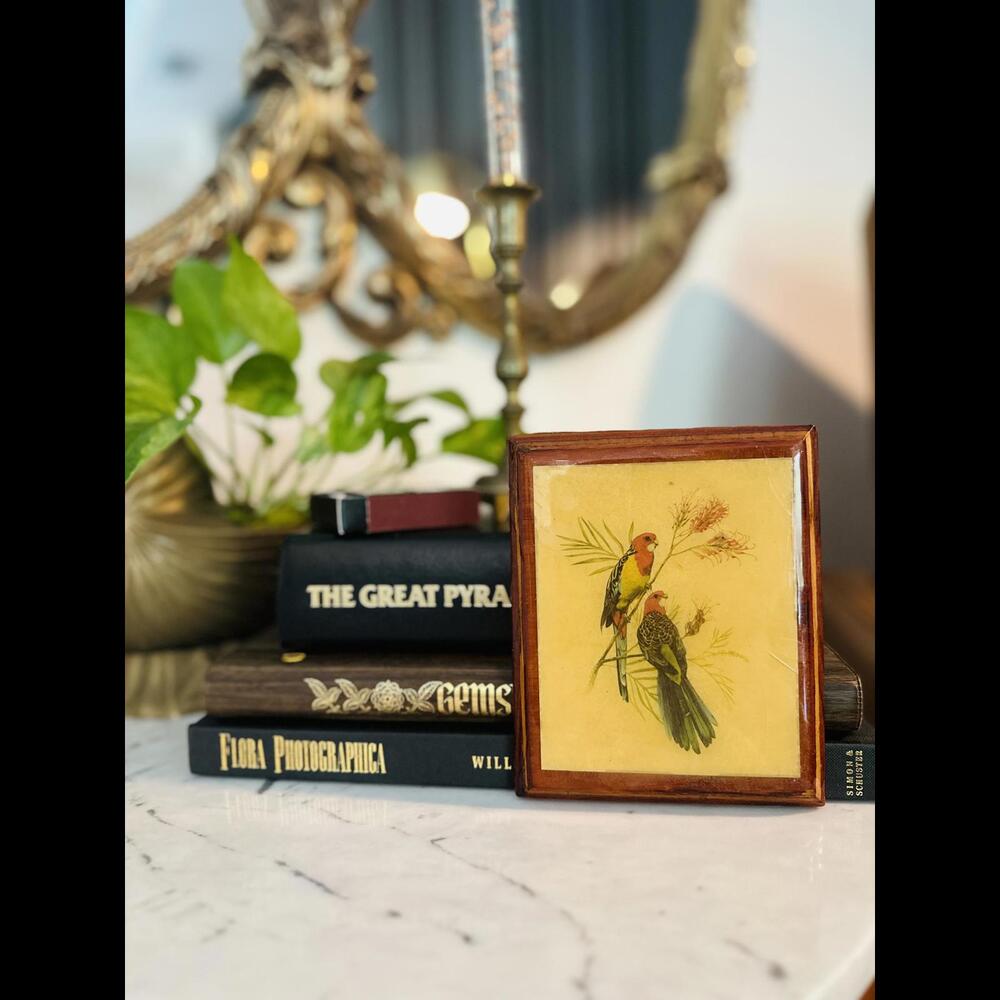 Retro Wooden Plaque with Parrots